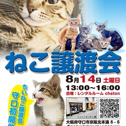 「初開催！ねこ譲渡会@守口市」サムネイル1