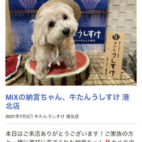 納言