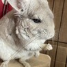 おくむーーー