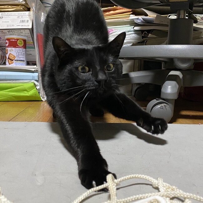 おくむーーーのカバー写真