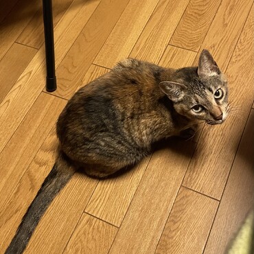 やっと現れたな！意地悪桃(~_~;)