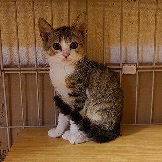 生後2ヵ月弱「のんのくん」