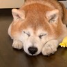 リィー