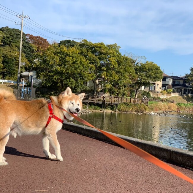 リィーのカバー写真
