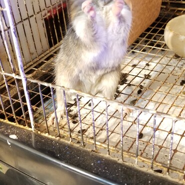 立てたよ〜