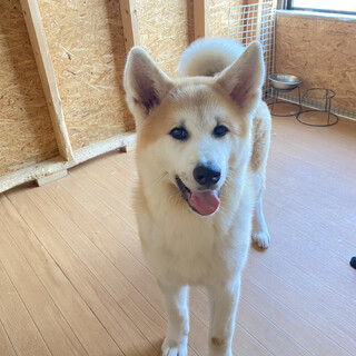 募集一時停止中☆らん丸くん