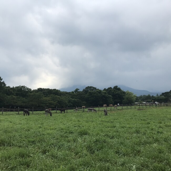 ゆきぽんぬのカバー写真