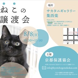 京都　保護ねこの譲渡会