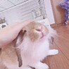 ラヴ's life