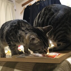 「あの夏の別れ」サムネイル2