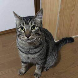 「あの夏の別れ」サムネイル3