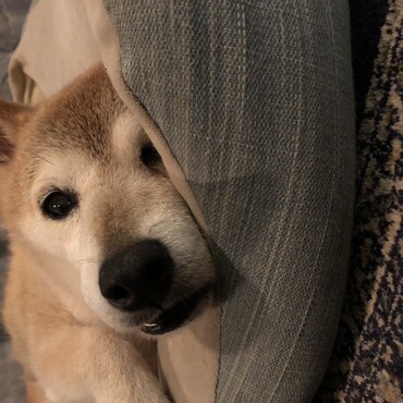 の写真