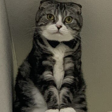 の写真