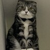 の写真
