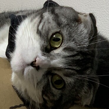 の写真