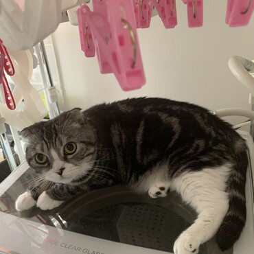 の写真
