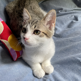 シオンちゃん・・ありがとうございました。