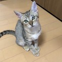 人間大好き⭐︎優しい元気な女の子