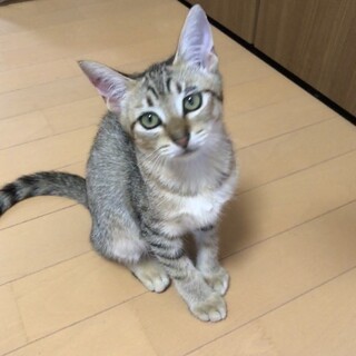 人間大好き⭐︎優しい元気な女の子