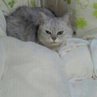 キキ