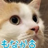 里親決定しました サムネイル7