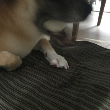 の写真