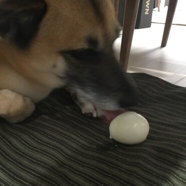 の写真