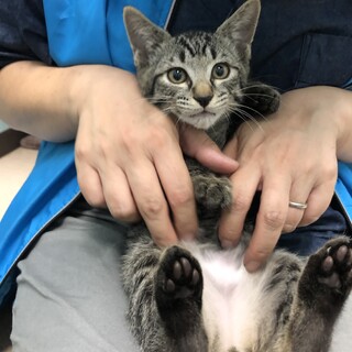 福くん、デレデレの甘えん坊です