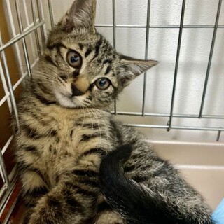 ちょっとビビリな甘えん坊　瑞稀