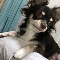 虎徹