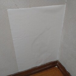 「ウチに来て８ヶ月半」サムネイル2