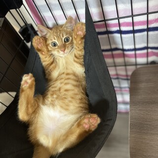 1人ぼっちでお外にいました♪早くおうちに行きたい♡