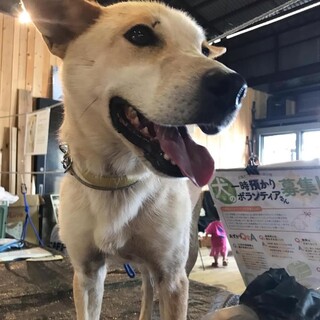 優しい目をした男の子　ムギくん