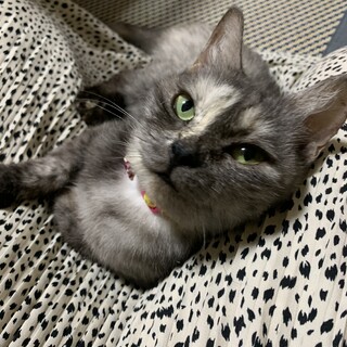 可愛いすずちゃん♡