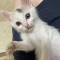 天真爛漫ひめちゃん