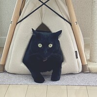 ヤマト