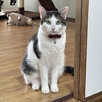 ハナ