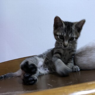 〝空ちゃん〟です！