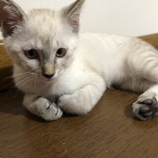 〝海ちゃん〟です！