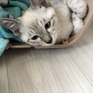 〝陸くん〟です。