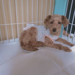 ありがとうございました