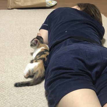 寝てる私と寄り添う猫