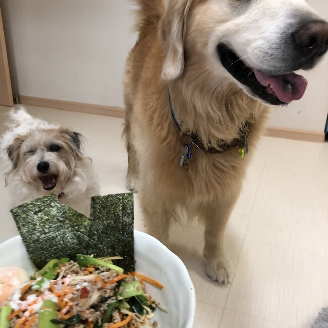 ビンゴのママのカバー写真
