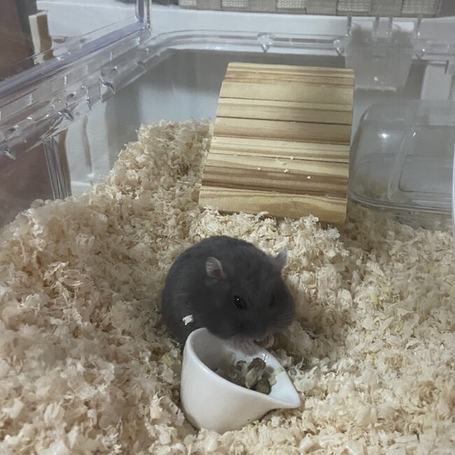 ゆか0303のカバー写真
