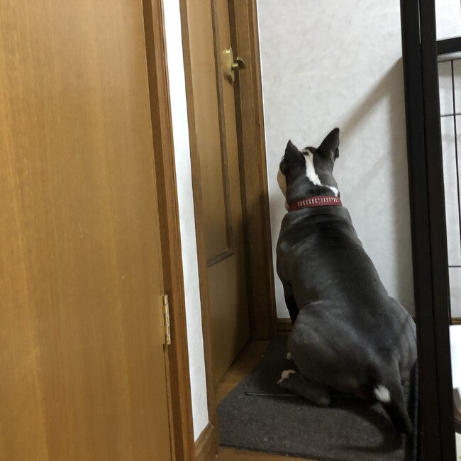 ちえりあのカバー写真