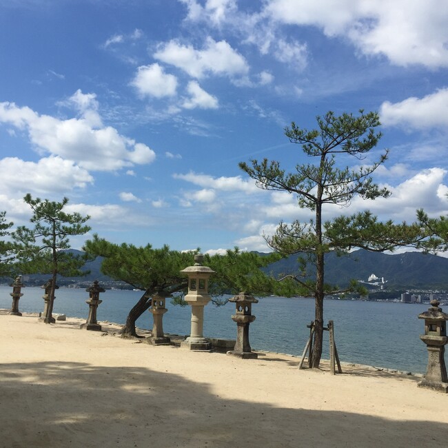 シリュウパパのカバー写真