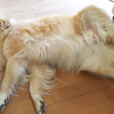 の写真