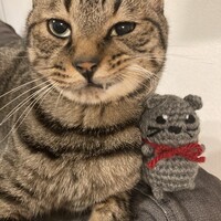 虎徹