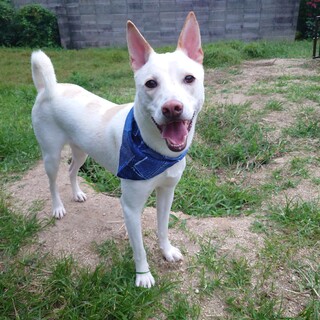 ご縁がつながらないのが不思議？？ゼイ君