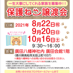 保護猫室内譲渡会